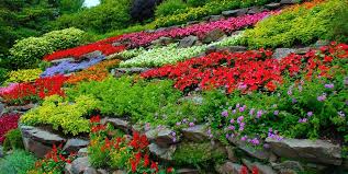 Flower garden